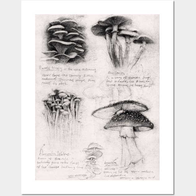 Mushrooms Wall Art by mikekoubou